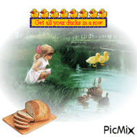 Get All Your Ducks In A Row animasyonlu GIF