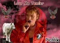 Love Me Tender GIF animé