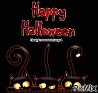 happy halloween cats - Darmowy animowany GIF