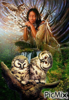 Fantasy owl geanimeerde GIF