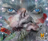 wolf  5 - Zdarma animovaný GIF