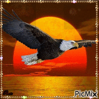 Aguila animowany gif