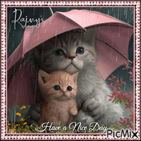 Katzen im Regen - GIF animasi gratis