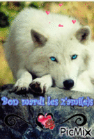 loup - Ilmainen animoitu GIF