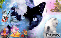 Cat GIF - GIF animado grátis