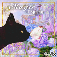 Spring Magic - II