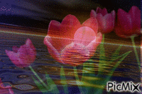 flores - GIF animé gratuit