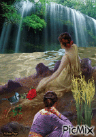 Overlooking the waterfall. 动画 GIF