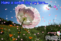 Have a sweet day my love - GIF animate gratis