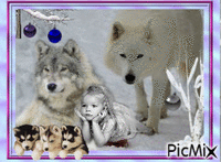 Le Loup Et L'Enfant - Besplatni animirani GIF