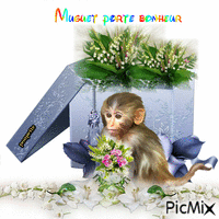 muguet - Безплатен анимиран GIF