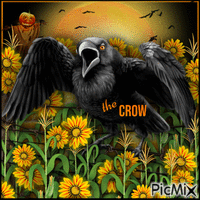 The Crow-RM-10-19-23 - GIF animé gratuit