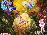 Buenas noches - 免费动画 GIF