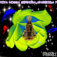 VIVA NOSSA SENHORA APARECIDA . animēts GIF