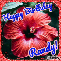 Happy Birthday Randy animovaný GIF