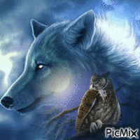 owl / wolf GIF animado