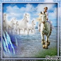 Beyaz atlar ve kadın - Безплатен анимиран GIF