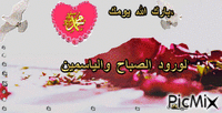 الورود الصباح والياسمين *  بارك الله يومك، animēts GIF