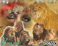 les lions - GIF animasi gratis