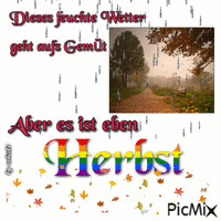 herbst 动画 GIF