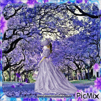 Purple Beauty - Gratis geanimeerde GIF