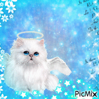 angel kitty cat - GIF animé gratuit
