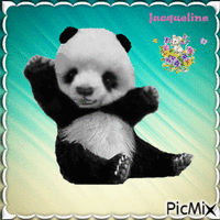 genti panda animovaný GIF