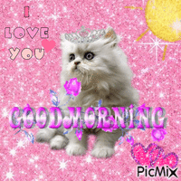 pink good morning cat - Ingyenes animált GIF