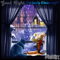 Good Night this lovely Winter night - Free animated GIF