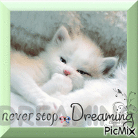 never stop Dreaming - Nemokamas animacinis gif