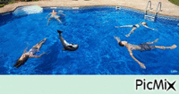 Dans la piscine - Animovaný GIF zadarmo
