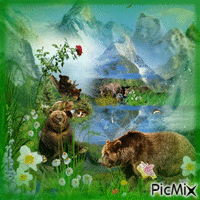 la vie en montagne sur les ours brun