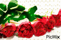 kwiaty - Ingyenes animált GIF