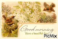 Good morning, birds,nest GIF animasi