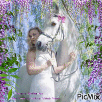 A mulher e o cavalo - Бесплатный анимированный гифка