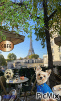 in paris Animated GIF