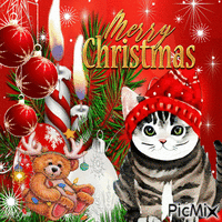☆☆ CHRISTMAS - CAT ☆☆ - GIF animé gratuit