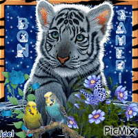 tigre bonjour animovaný GIF