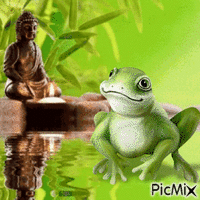 Rana en el estanque - GIF animasi gratis