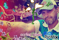 carlos pires - Zdarma animovaný GIF