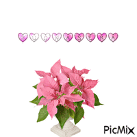 fiori animerad GIF