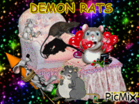 RATS GIF animé