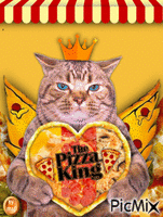 Pizza Cat анимированный гифка