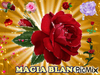 MAGIA BLANCA - GIF animé gratuit