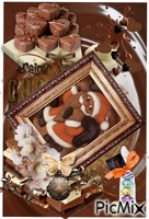 chocolats animovaný GIF