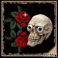 rose/skull geanimeerde GIF