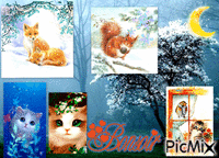 Bonsoir chatons - Bezmaksas animēts GIF