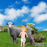 Baby and sheep in garden