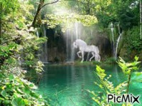 licorne sous la chute d'eau - GIF animado grátis