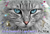 Le Chat - Bezmaksas animēts GIF